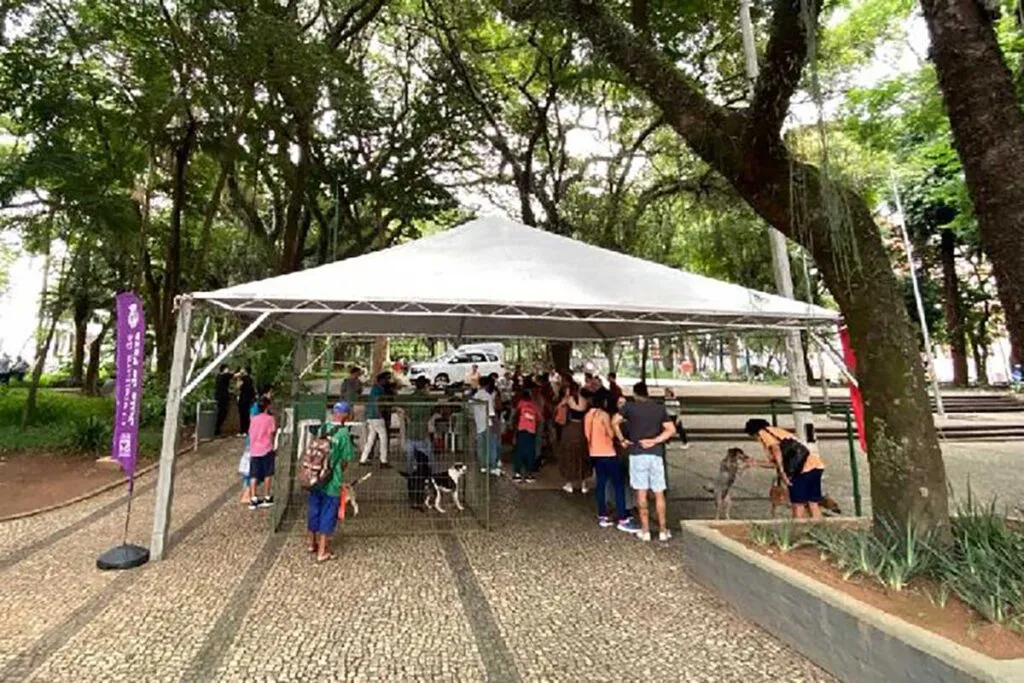 prefeitura adoção