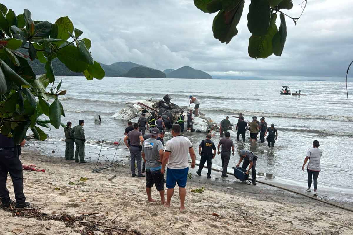 aviao ubatuba reproducao X