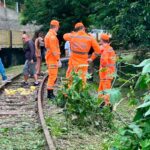 corpo encontrado bombeiros divulgacao