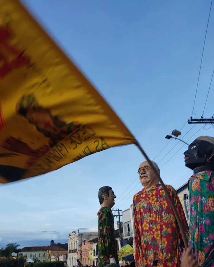 carnaval zona da mata