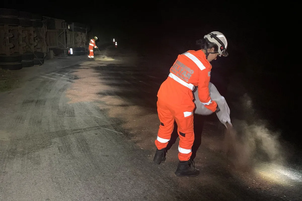 Caminhão de pizzas tomba em rodovia do Campo das Vertentes