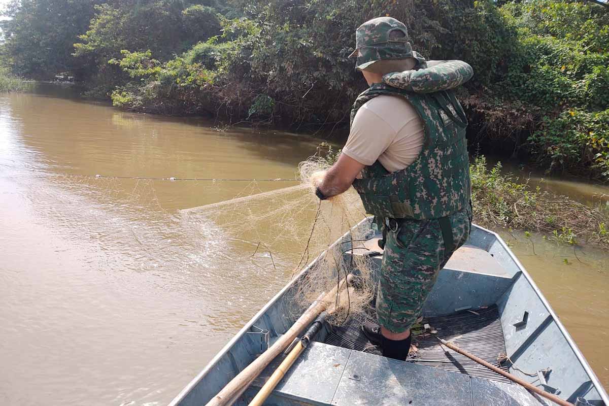 estrela dalva pesca ilegal crime foto pmma