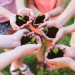 jovens sustentabilidade