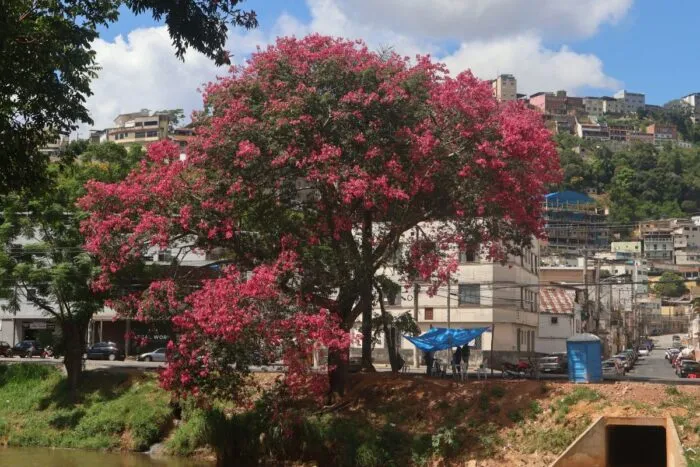 Saiba como fica o tempo no carnaval em Juiz de Fora