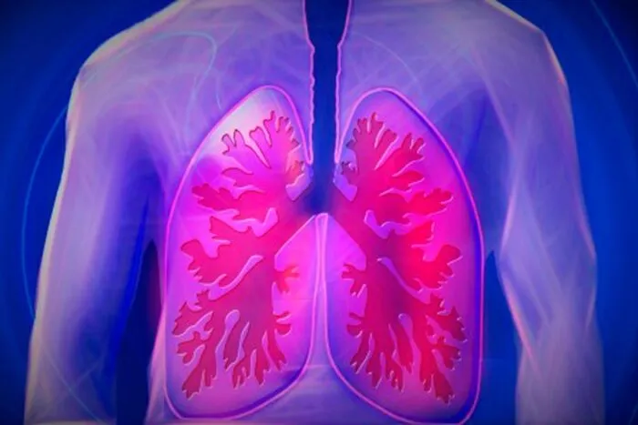 heparina tratamento inflamacao pulmonar imagem kalhh Pixabay