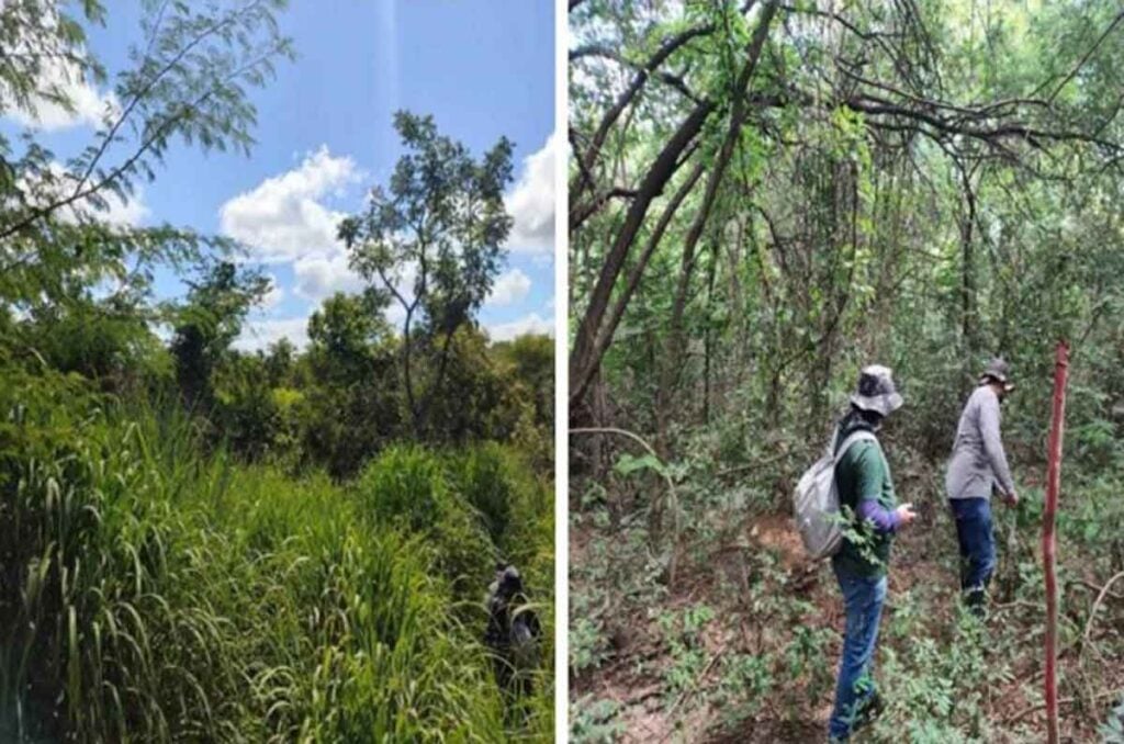 MPMG licenca ambiental