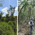 Justiça suspende licença ambiental para loteamento em vegetação de Mata Atlântica de cidade mineira 6 MPMG licenca ambiental