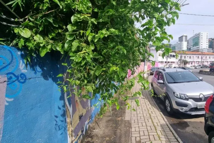 Calçada irregular e mato alto oferecem riscos a pedestres na Avenida Itamar Franco 8 VU Calcada irregular e mato alto oferecem riscos a pedestres na Avenida Itamar Franco Leo