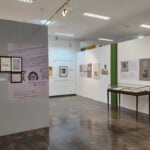 Mamm celebra 20 anos e apresenta programação especial para a semana 4 MAMM