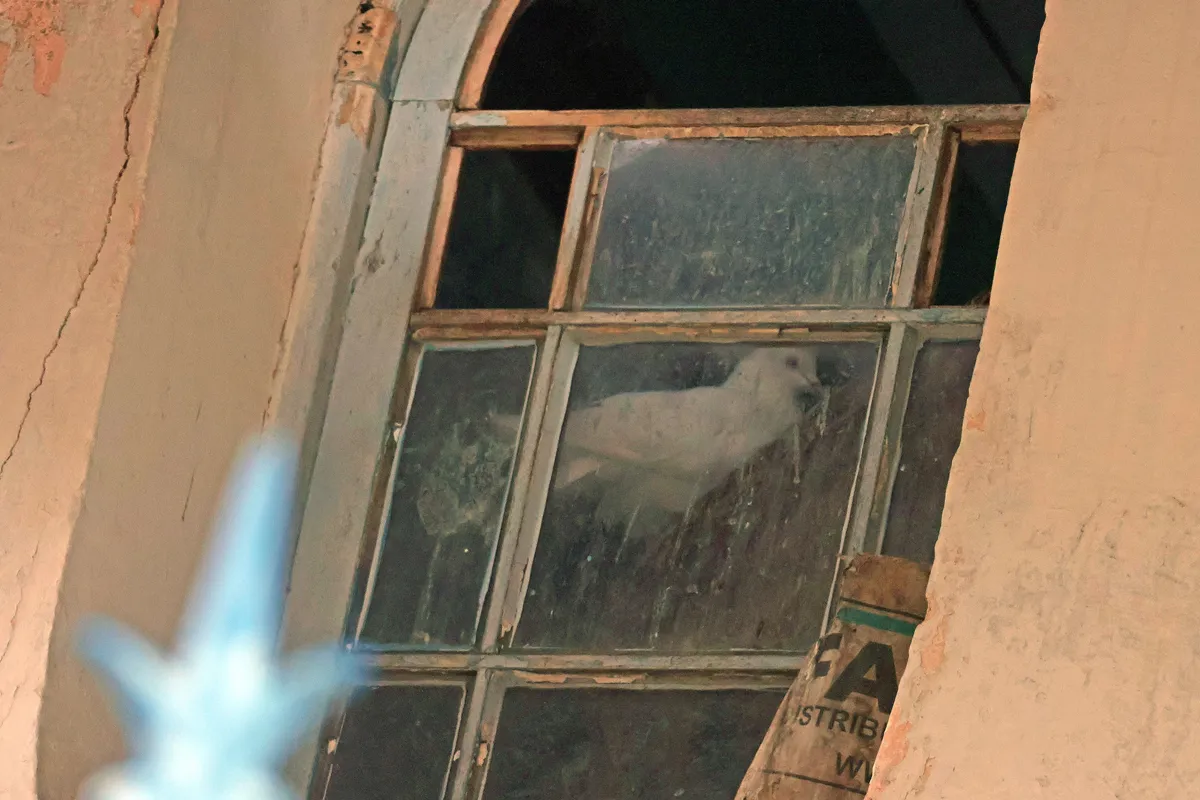 Moradores denunciam deterioração da Capela Santa Teresinha 3 CAPELA DE SANTA TEREZINHA FOTO LEONARDO COSTA 03