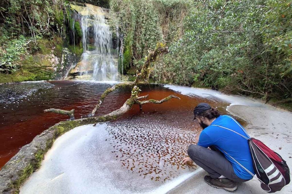 Cachoeira Ninho da Egua Rio Preto arquivo pessoal