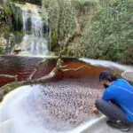 Parque Estadual da Serra Negra: plano de manejo de Unidade de Conservação na Zona da Mata é aprovado 3 Cachoeira Ninho da Egua Rio Preto arquivo pessoal