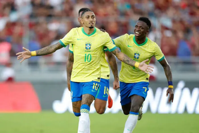 CBF deve anunciar novo treinador até a próxima semana 2 Selecao