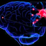 Veja os prós e contras do novo medicamento para Alzheimer aprovado pela Anvisa 2 alzheimer httphypescience.com via ufrj