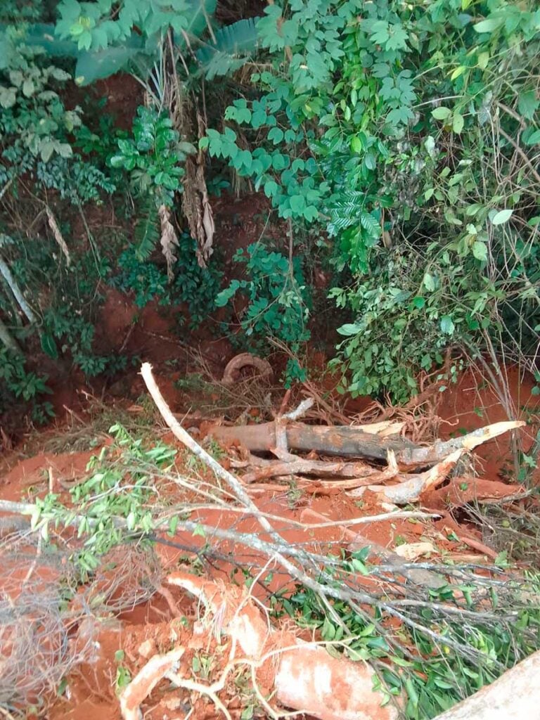 crime-ambiental-polícia
