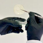 Curativo biodegradável desenvolvido por pesquisadores da UFV ajuda na cicatrização das feridas 3 Pesquisadores da UFV desenvolvem curativo biodegradável