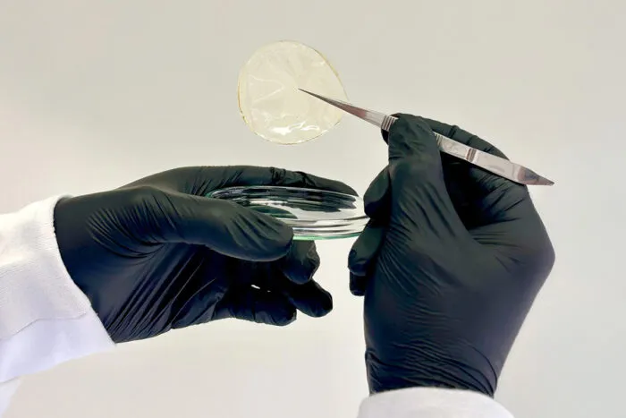 Curativo biodegradável desenvolvido por pesquisadores da UFV ajuda na cicatrização das feridas 2 Pesquisadores da UFV desenvolvem curativo biodegradável