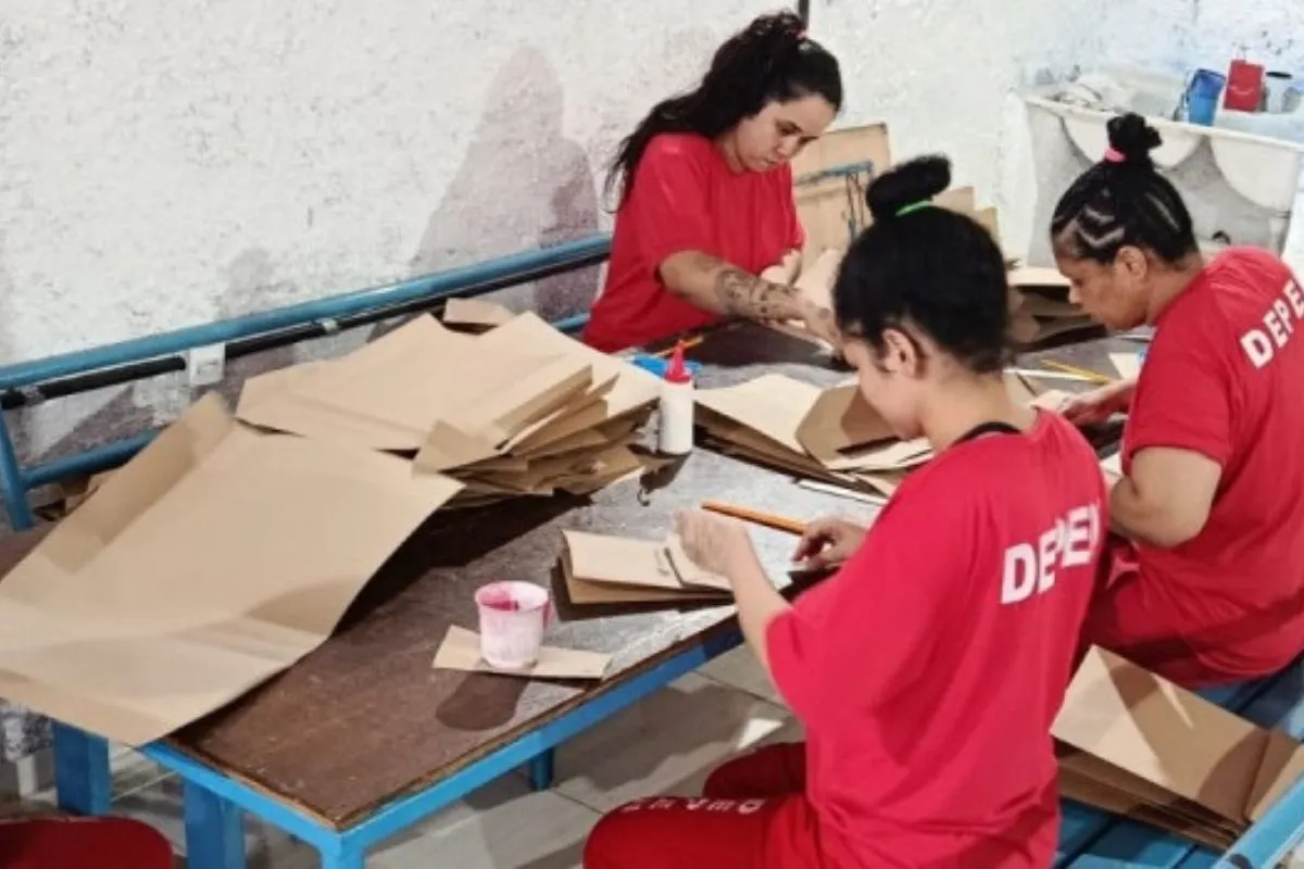 Detentas de Juiz de Fora produzem 300 sacolas de papel reciclado por dia 2 detentas trabalhadoras juiz de fora
