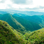 Mata Atlântica é o único bioma a apresentar crescimento do desmatamento em 2024 4 mata atlatica portal gov