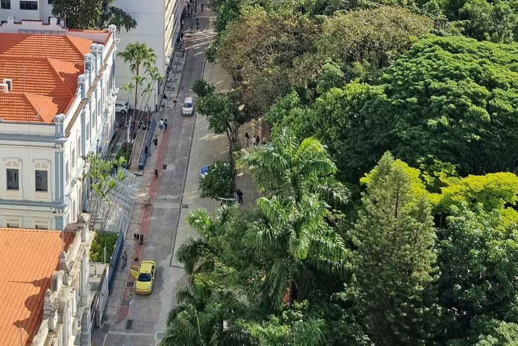 Pessoas em situação de rua terão serviços e refeições gratuitas no Parque Halfeld