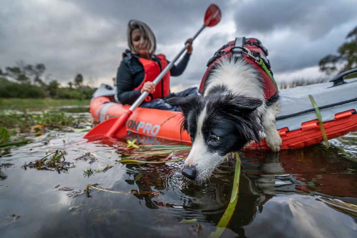 prêmio-de-fotografia-ambiental-2025-(11)