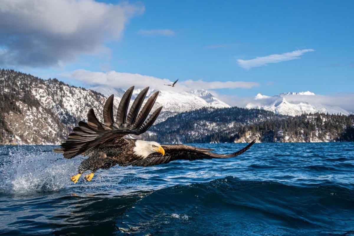 prêmio-de-fotografia-ambiental-2025-(13)