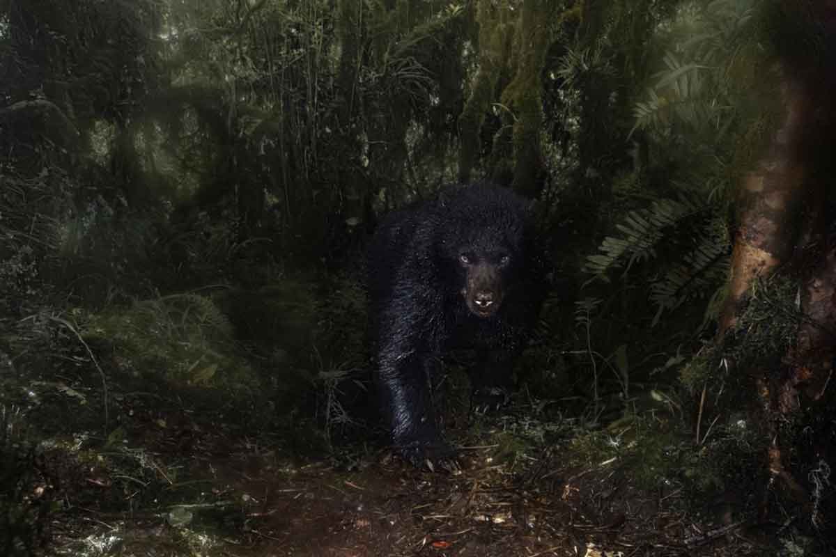 prêmio-de-fotografia-ambiental-2025-(2)