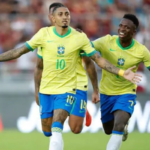 CBF deve anunciar novo treinador até a próxima semana 3 selecao divulgacao
