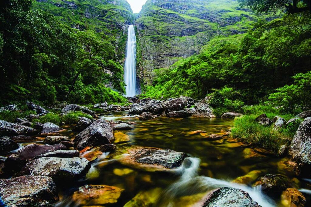 selecao icmbio parque serra da canastra