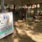 Mais de 900 animais aguardam adoção no Canil Municipal 3 Mais de 900 animais aguardam adoção no Canil Municipal
