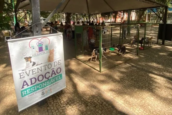 Mais de 900 animais aguardam adoção no Canil Municipal 2 Mais de 900 animais aguardam adoção no Canil Municipal