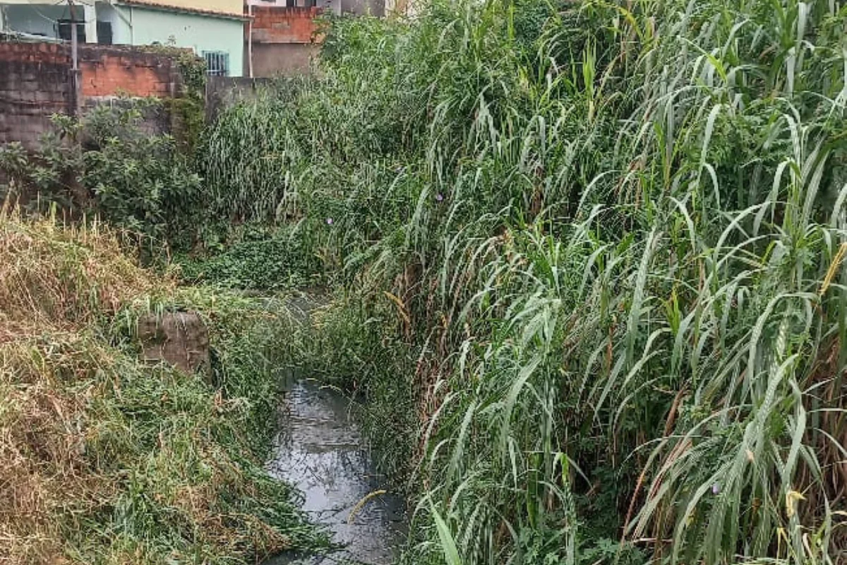 Córrego abandonado preocupa moradores do Jardim dos Alfineiros 1 Copia de Design sem nome