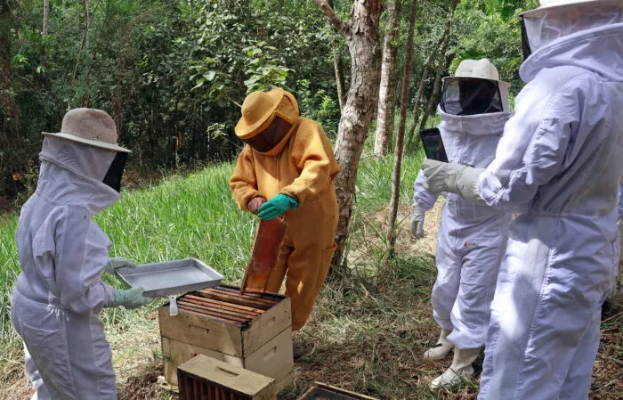 Com criação de abelhas e produção de mel, casal mantém reserva e proporciona experiências a visitantes 4 ENTRE SERRAS DE MINAS LIMA DUUARTE BEE NECTAR APIARIO ABELHAS FOTO LEONARDO COSTA 9