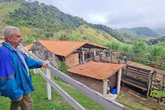 Com produção artesanal de queijo, casal vive paz da roça há 10 anos e compartilha conquistas na região 12 queijo lima duarte