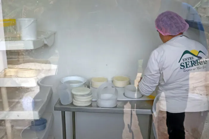 Com produção artesanal de queijo, casal vive paz da roça há 10 anos e compartilha conquistas na região 11 queijo lima duarte
