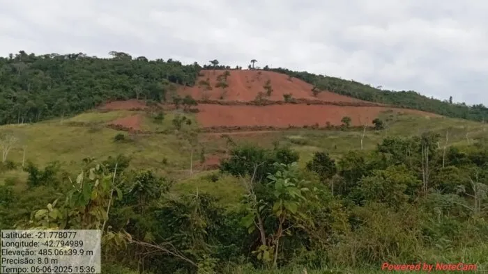 Trio é preso por desmatar área florestal equivalente a mais de 30 campos de futebol 1 hectares