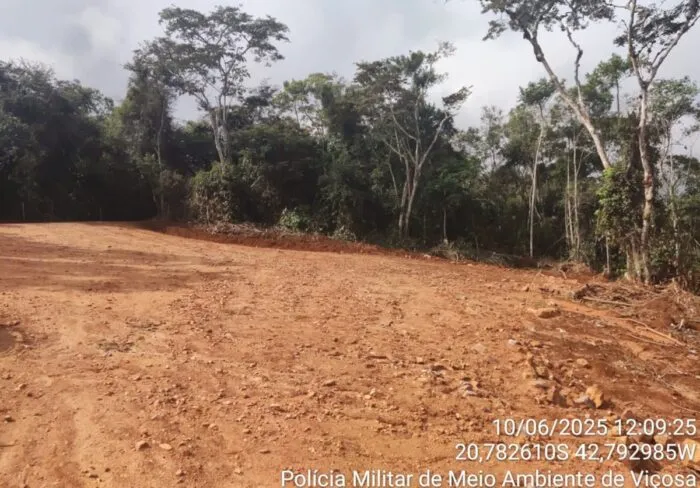 Prefeitura de cidade mineira é multada em mais de R$ 2.700 por desmatamento de vegetação nativa em ponto turístico 1 Prefeitura de cidade mineira é multada em mais de R$ 2.700 por desmatar vegetação nativa em ponto turístico