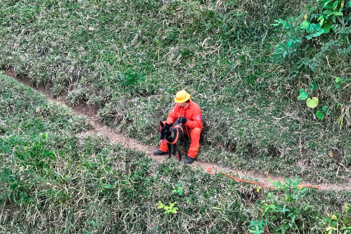homem-desaparecido-buscas-cão-farejador