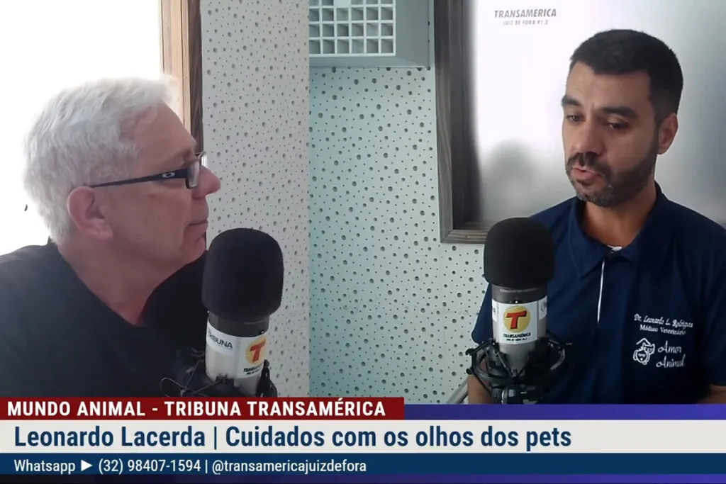 Veterinário traz dicas para saúde dos olhos dos pets 1 Veterinário traz dicas para saúde dos olhos dos pets