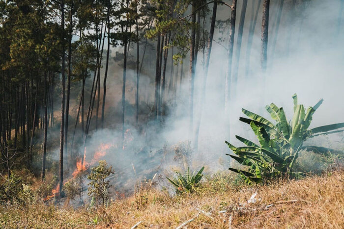 incêndio sucos