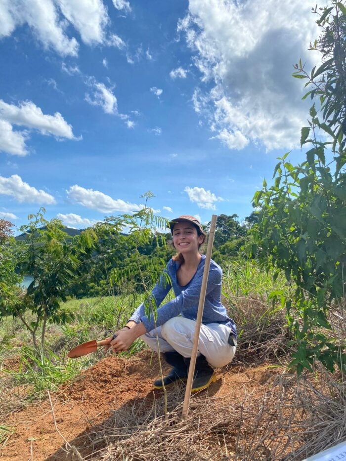 Projeto une ciência e ilustração para valorizar a flora da Mata Atlântica 1 Julia Firjam Reproducao Instagram