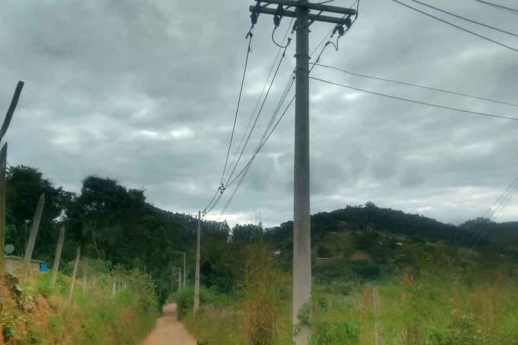 LUZ PENIDO ARQUIVO PESSOAL