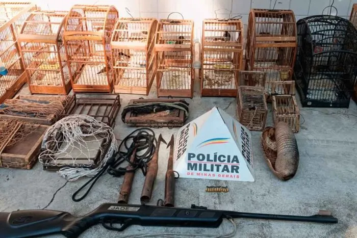 Dupla é presa com 11 pássaros irregulares e casco de tatu 1 Dupla é presa com 11 pássaros irregulares e casco de tatu
