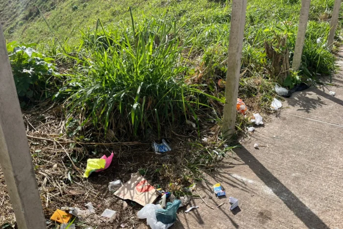 Descarte irregular de lixo em terreno na Zona Sul gera risco ao meio ambiente 2 descarte irregular sul