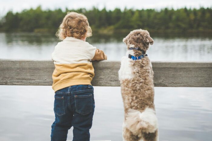 Crianças e pets: saiba como garantir a harmonia entre essa dupla 2 Crianças e pets: saiba como garantir a harmonia entre essa dupla
