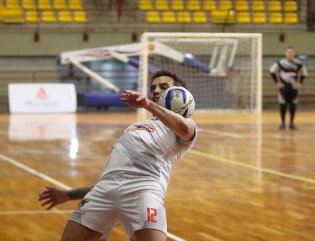 falcão. foto felipe couri