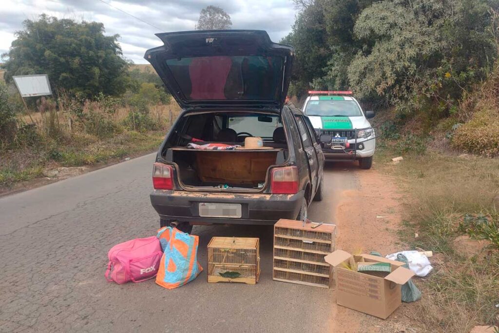 Homem é preso e multado em mais de R$ 200 mil por tráfico de animais silvestres 1 operacao aves silvestres ouro fino by divulgacao pm editada