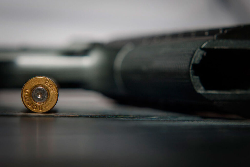 Juíza rejeita denúncia de tentativa de homicídio contra delegada que atirou em policiais durante operação 1 tentativa dehomicidio arma municao bala pixabay