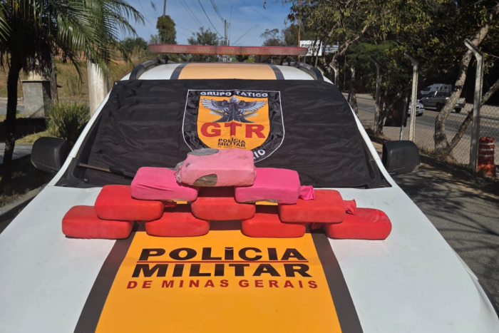 substância alucinógena apreendida