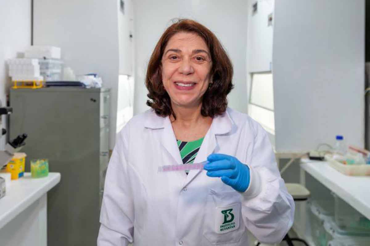 Instituto Butantan testa anticorpo contra zika com foco na proteção de grávidas